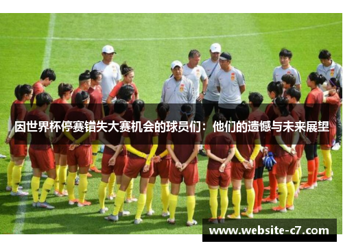 因世界杯停赛错失大赛机会的球员们：他们的遗憾与未来展望