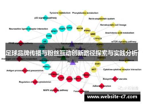 足球品牌传播与粉丝互动创新路径探索与实践分析
