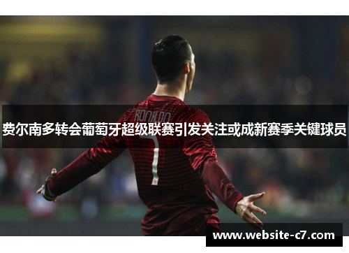 费尔南多转会葡萄牙超级联赛引发关注或成新赛季关键球员