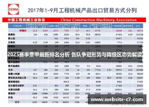 2025赛季意甲最新排名分析 各队争冠形势与降级区态势解读