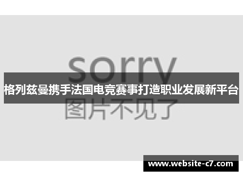 格列兹曼携手法国电竞赛事打造职业发展新平台