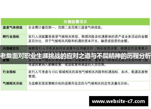 老詹面对职业生涯挑战的应对之道与不屈精神的历程分析