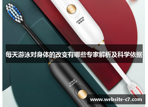 每天游泳对身体的改变有哪些专家解析及科学依据