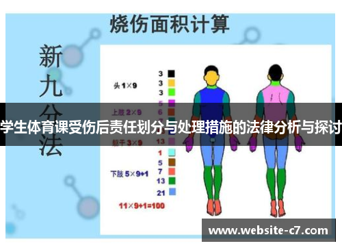 学生体育课受伤后责任划分与处理措施的法律分析与探讨