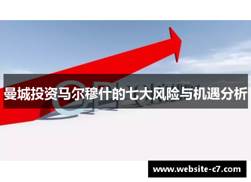 曼城投资马尔穆什的七大风险与机遇分析