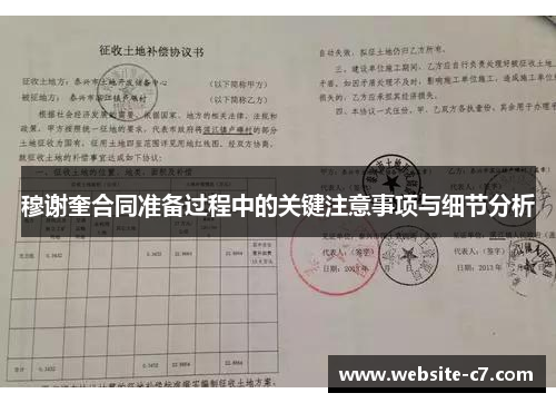 穆谢奎合同准备过程中的关键注意事项与细节分析