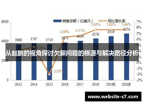 从赵鹏的视角探讨欠薪问题的根源与解决路径分析