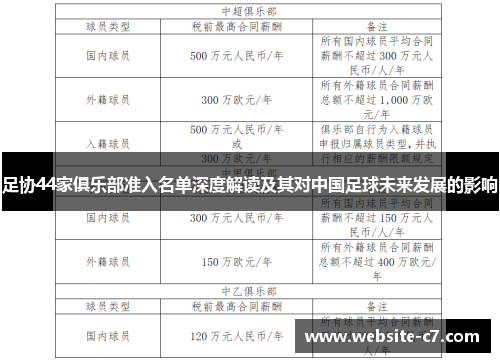 足协44家俱乐部准入名单深度解读及其对中国足球未来发展的影响