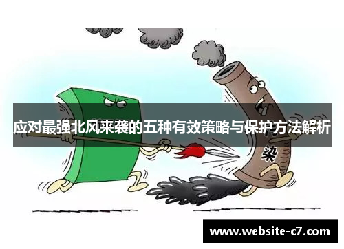 应对最强北风来袭的五种有效策略与保护方法解析