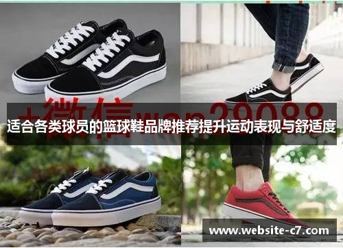 适合各类球员的篮球鞋品牌推荐提升运动表现与舒适度