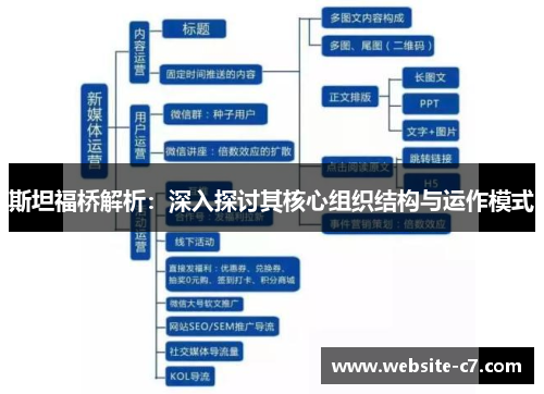 斯坦福桥解析：深入探讨其核心组织结构与运作模式