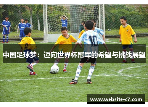 中国足球梦：迈向世界杯冠军的希望与挑战展望