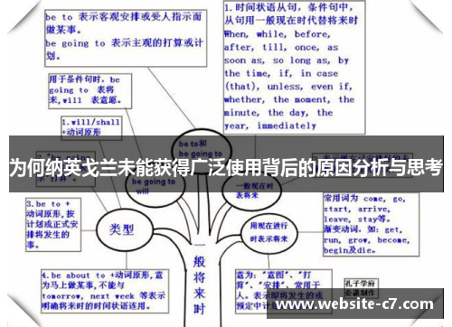 为何纳英戈兰未能获得广泛使用背后的原因分析与思考 为何纳英戈兰未能获得广泛使用背后的原因分析与思考