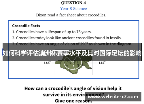 如何科学评估澳洲杯赛事水平及其对国际足坛的影响 如何科学评估澳洲杯赛事水平及其对国际足坛的影响