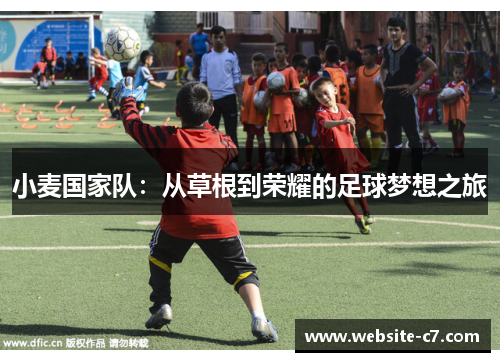 小麦国家队：从草根到荣耀的足球梦想之旅