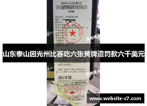 山东泰山因光州比赛吃六张黄牌遭罚款六千美元