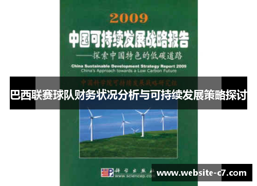 巴西联赛球队财务状况分析与可持续发展策略探讨 巴西联赛球队财务状况分析与可持续发展策略探讨