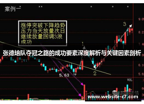 张德培队夺冠之路的成功要素深度解析与关键因素剖析